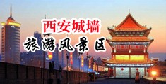 大鸡巴操小骚逼视频免费中国陕西-西安城墙旅游风景区