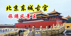 日本人大鸡巴入双穴视频中国北京-东城古宫旅游风景区